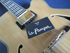 La pampa